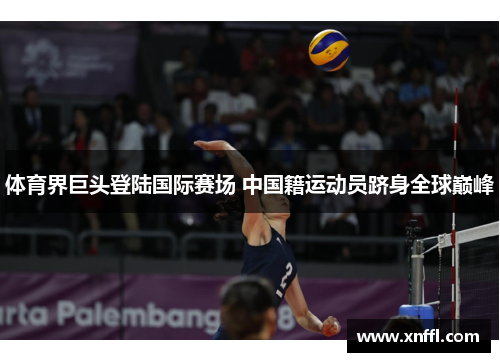 体育界巨头登陆国际赛场 中国籍运动员跻身全球巅峰